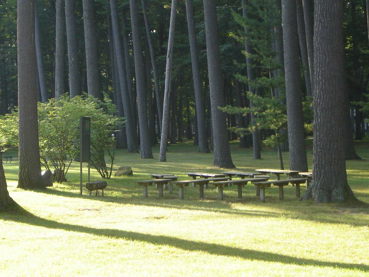 An outdoor classroom on the Northwestern Michigan College campus